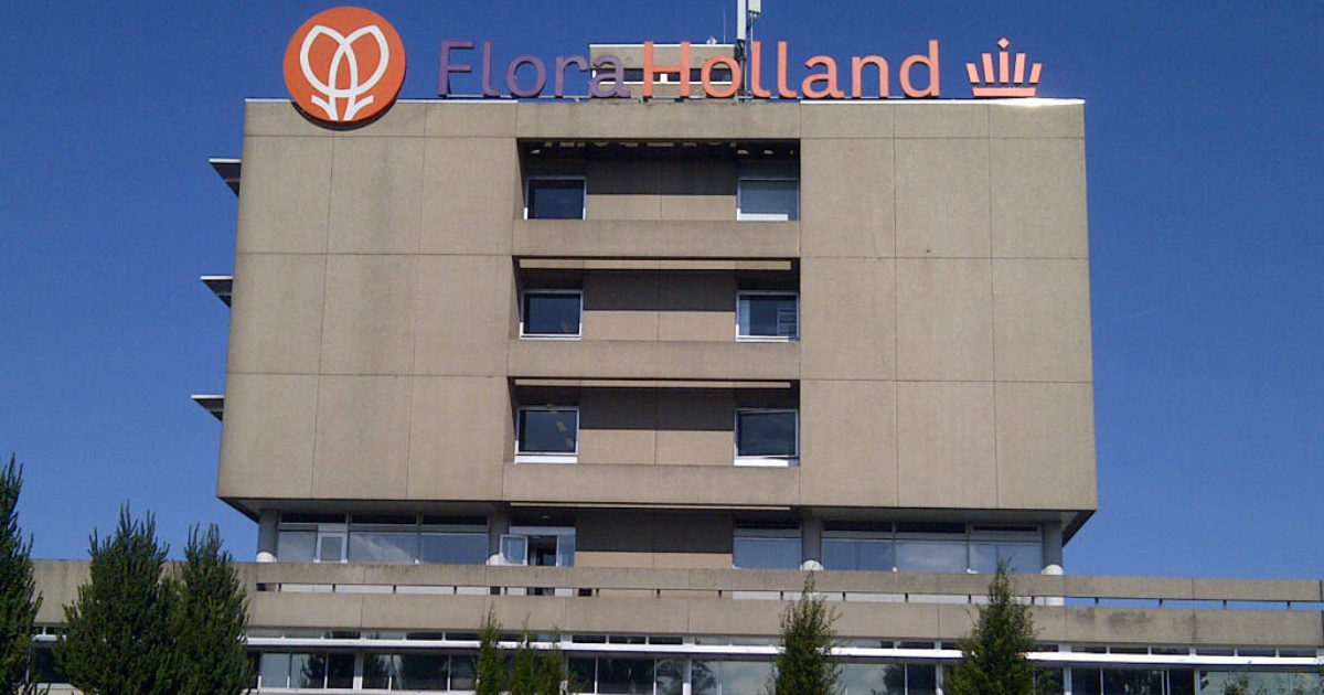 Grote warmtepomp moet gasverbruik Flora Holland flink verlagen