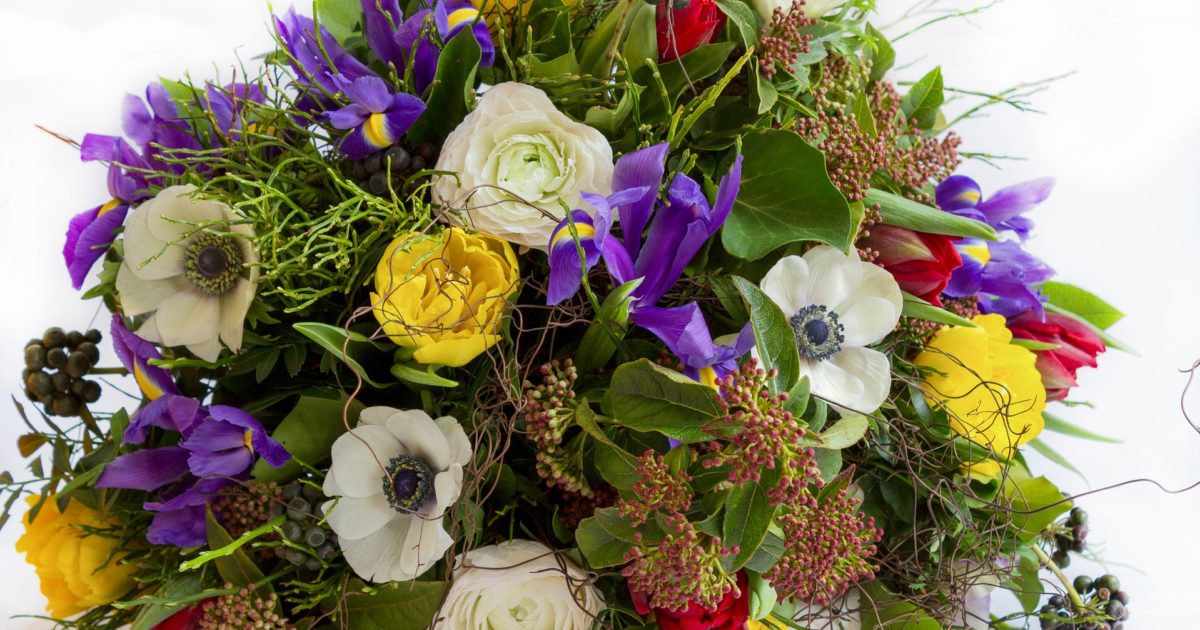 Van Harte (24 juni)