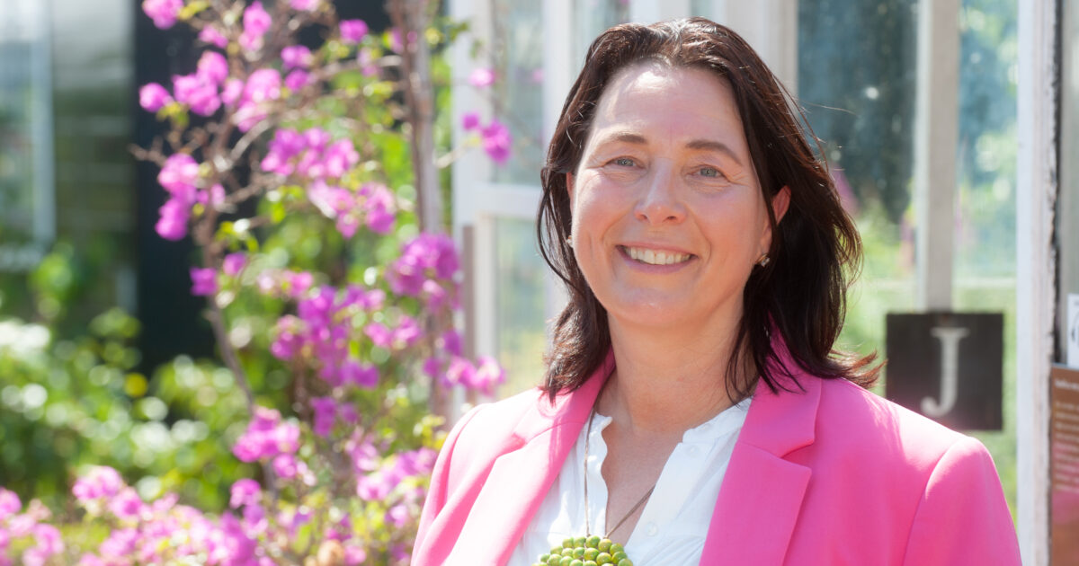 Uur van Puur (29 oktober)