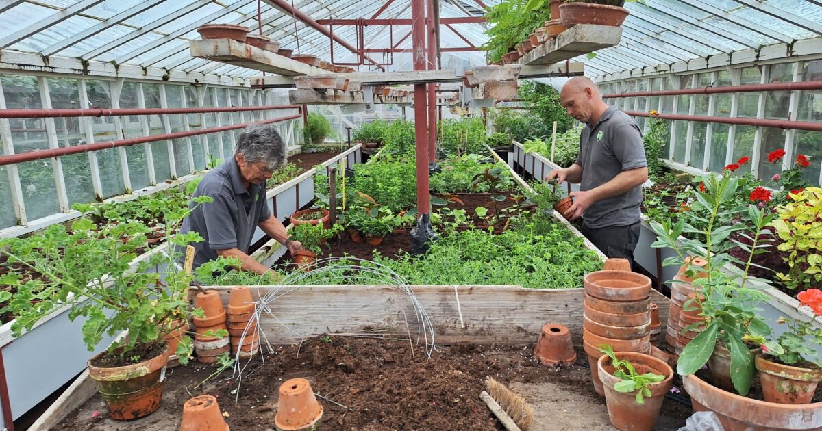 Historische Tuin sluit seizoen af: veiling, workshops en verkoopdag
