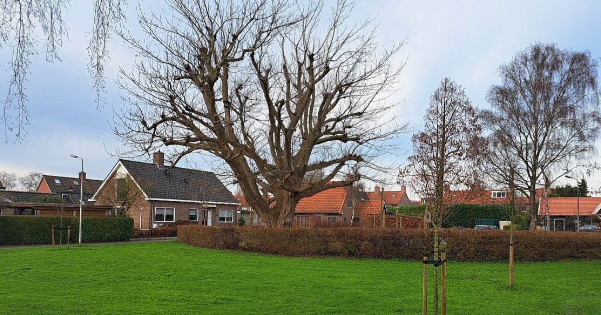 Onenigheid over plek transformatorhuisje aan Berkenlaan