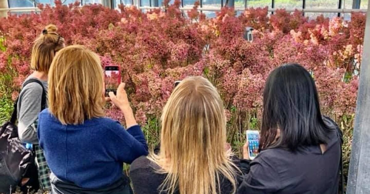 SeringenXperience 2026