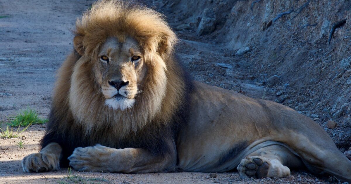 Column: 'Krokusvakantie'