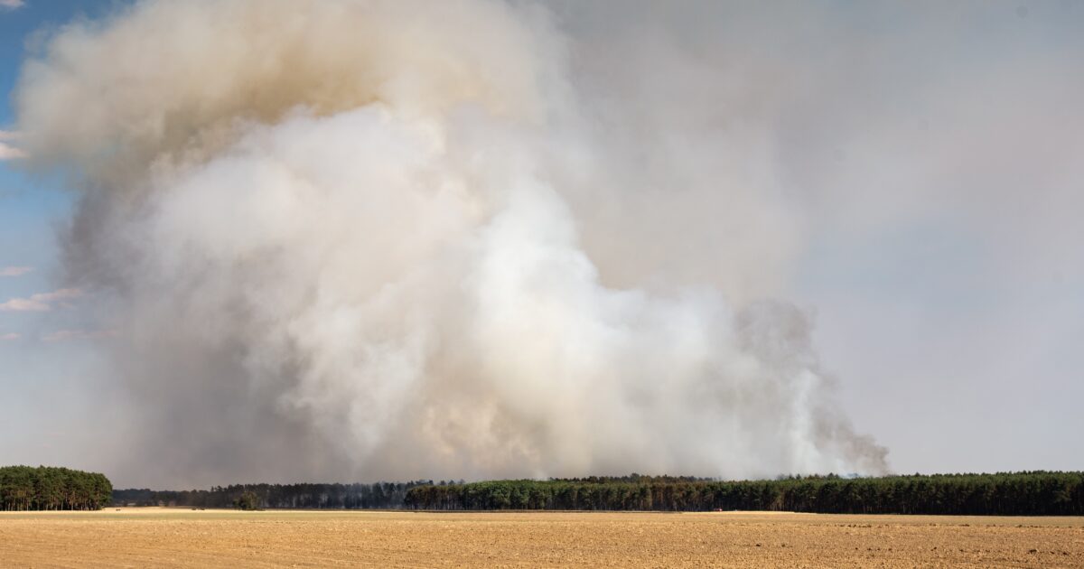 Rook natuurbrand ruikbaar in Aalsmeer en Kudelstaart
