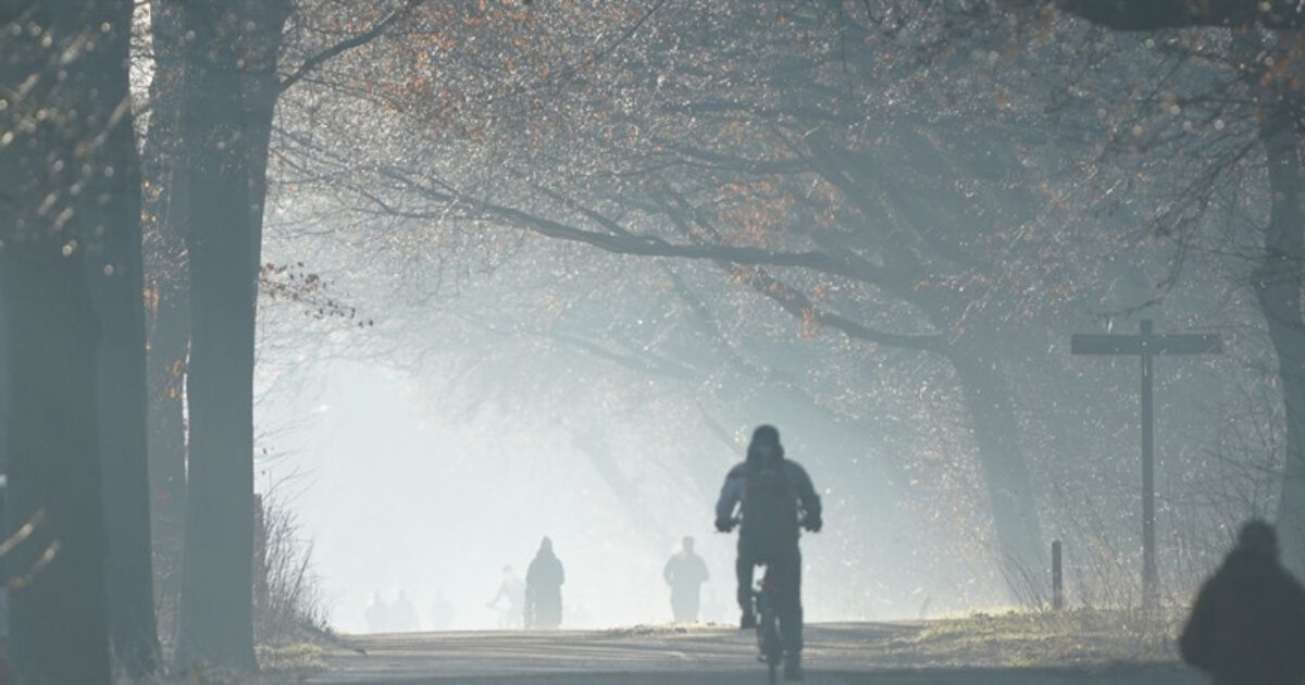 Fietstocht met de Boswachter