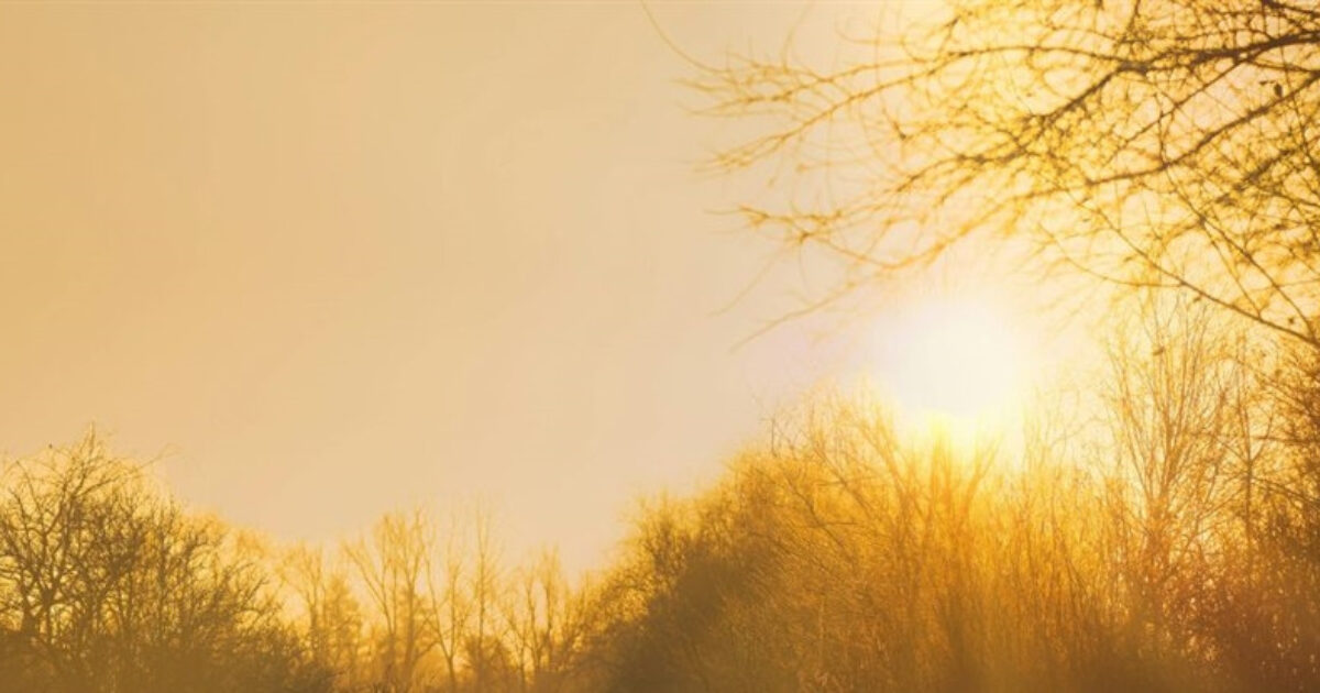 Zonsopgangwandeling
