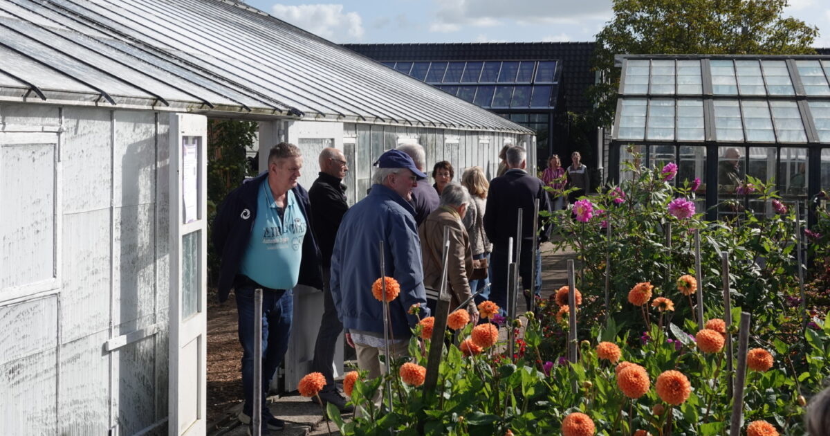 Drie activiteiten bij Historische Tuin
