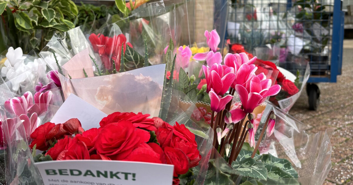 Tiflo wil ouderen verrassen met een plantje
