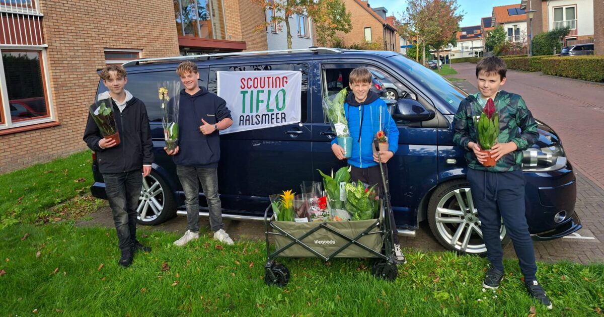 Scout aan de deur, plant in huis